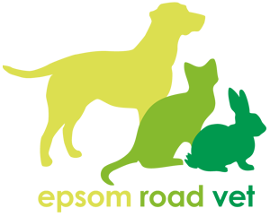 Pet Emergencies at Epsom Road Vet