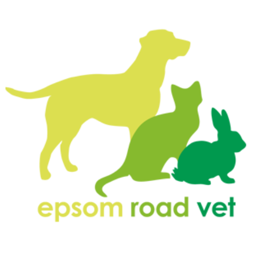 Our Friends at Epsom Rd Veterinary Clinic