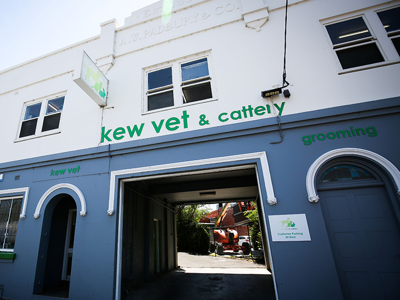 Kew Vet and Cattery