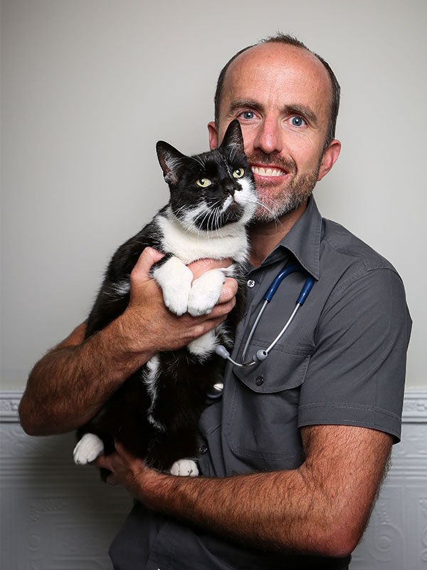 Meet Our Team - Dr Mark Matthews - Epsom Road Veterinary Clinic